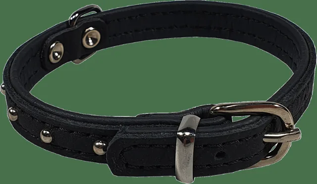 Kožený obojek BaF Denys 37cm černý