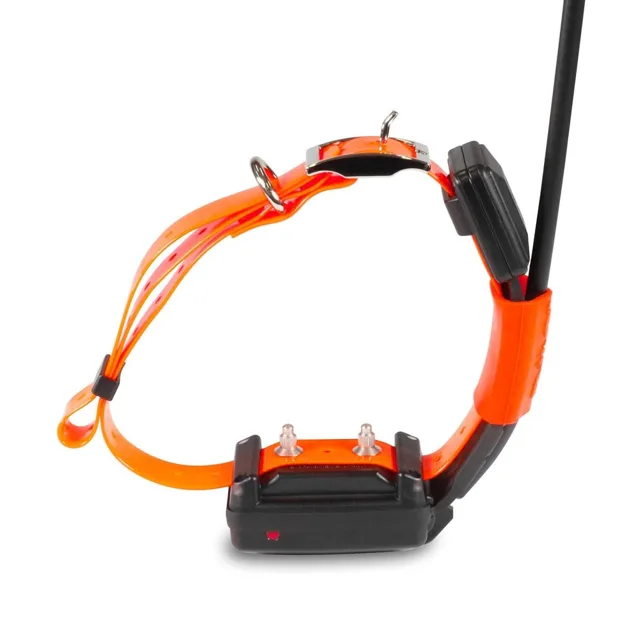 Kratší obojek pro dalšího psa - DOG GPS X25T Short | P54410