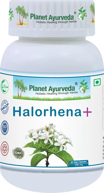 Kutaj (Halorhena) - 500 mg, 60 kapslí