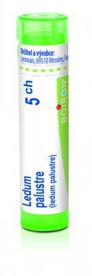 Ledum Palustre 5CH gra.4g