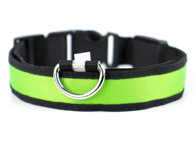 Light svítící obojek pro psa | 28 - 60 cm Barva: Zelená, Obvod krku: 33 - 43 cm