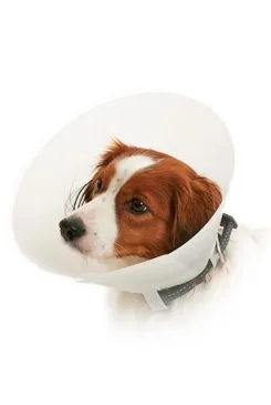 Límec ochranný Buster neprůhledný Classic Collar 30cm