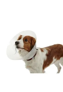 Límec ochranný Buster plastový Classic Collar 12,5cm