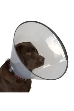 Límec ochranný Buster plastový Comfort Collar 25cm
