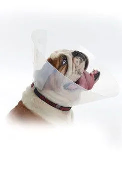 Límec ochranný Buster plastový E-collar Brachy L