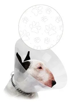 Límec ochranný Cvet Transparent tlapky 25cm 1ks