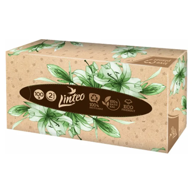 LINTEO Papírové kapesníky 2-vrstvé BOX 100 ks