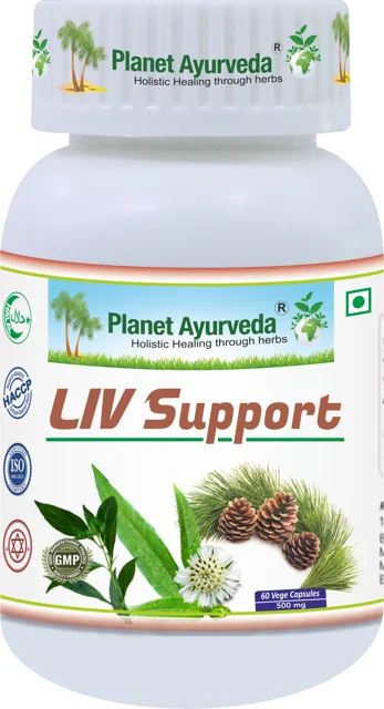 Liv Support - 500 mg, 60 kapslí