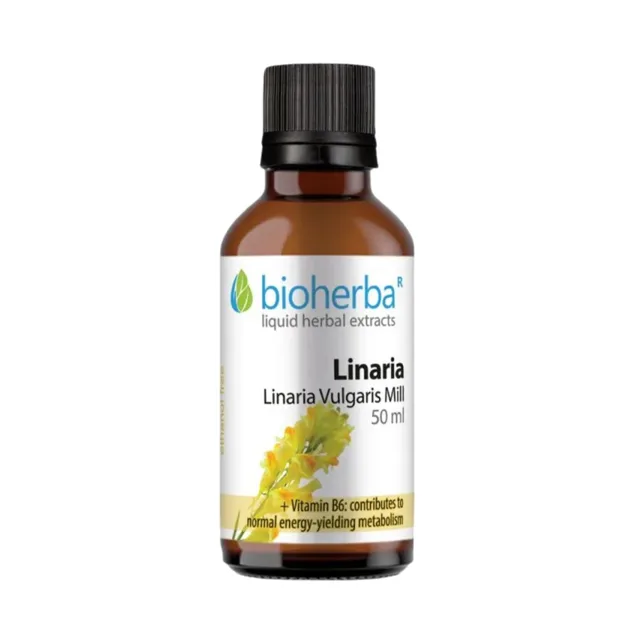 Lnice obecná – tinktura kapky – 50 ml – Bioherba
