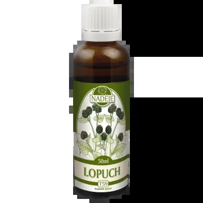 Lopuch (T59)