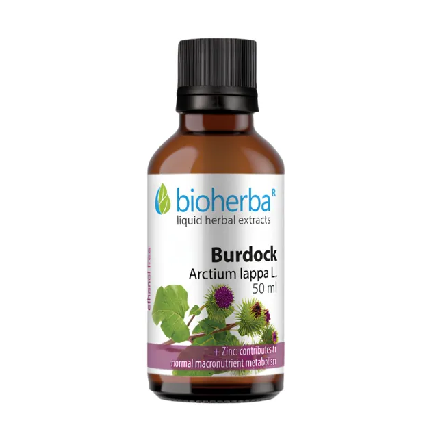 Lopuch větší – tinktura kapky – 50 ml – Bioherba