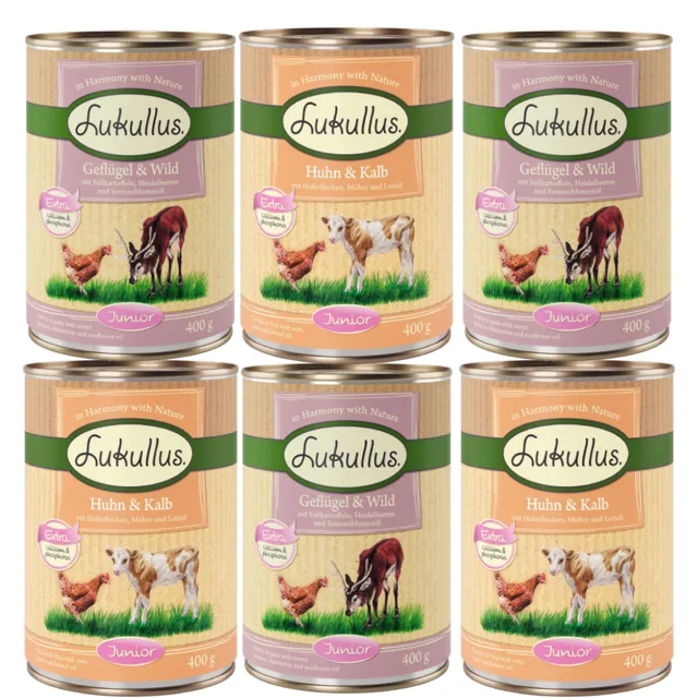 Lukullus Naturkost Junior zkušební balení - 6 x 400 g (2 druhy)
