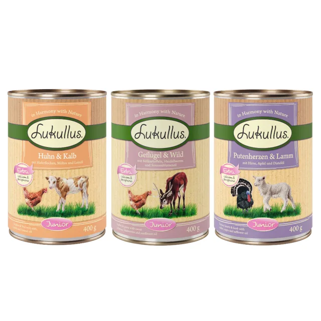 Lukullus Naturkost Junior zkušební balení - 6 x 400 g