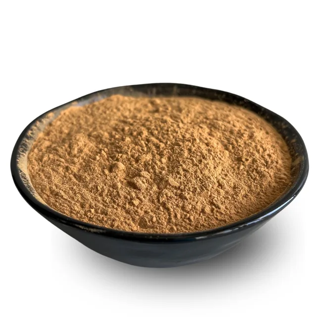 Lyopotraviny BIO Karob 500 g, 500 g