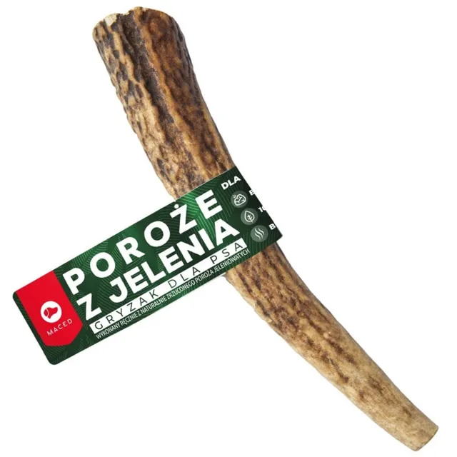 MACED Jelení paroží velikost L