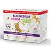 Magnesium chelát cps.50+20+malát tbl.50+20 Galmed