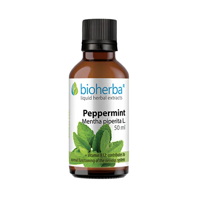 Máta peprná – tinktura kapky – 50 ml – Bioherba