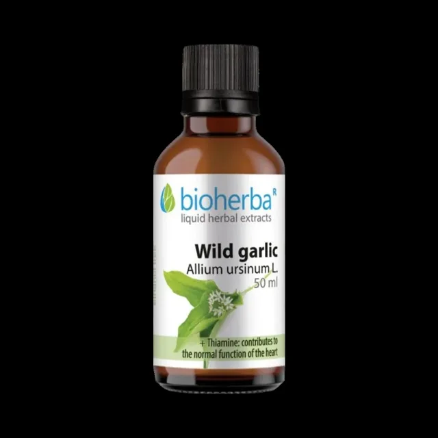 Medvědí česnek kapky – tinktura – 50 ml – Bioherba