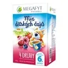 Megafyt Mix dětských čajů 4 druhy 20x2g
