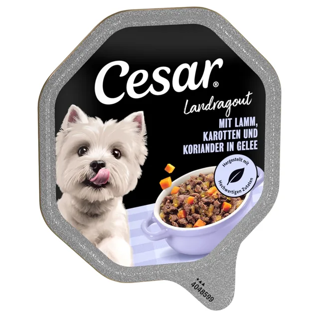 Megapack Cesar mistička 14 x 150 g - jehněčí, mrkev a koriandr v želé