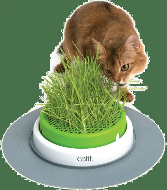 Miska na trávu pro kočky Catit Senses 2.0 Grass Planter