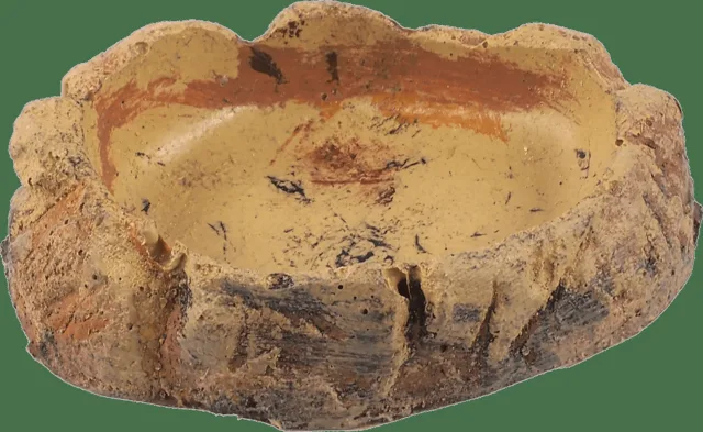 Miska Repti Planet terarijní světlá 8,6×6,5×2,5cm