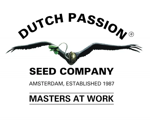 Mix 1 - feminizovaná semínka Dutch Passion 6ks