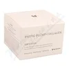 Mizon Phyto Plump Collagen Day Cream 50ml