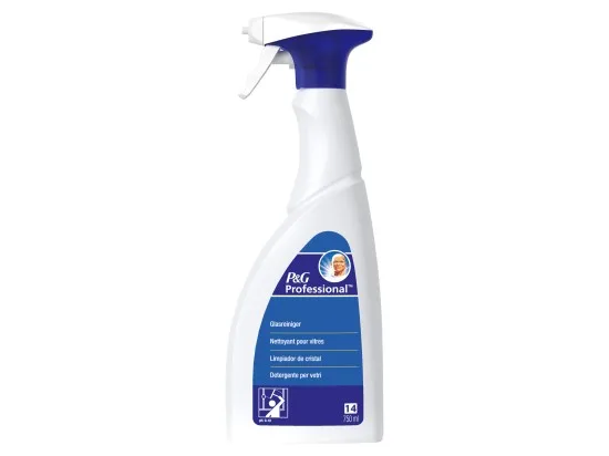 Mr. Proper Professional 14 sprej na čištění skla 750 ml