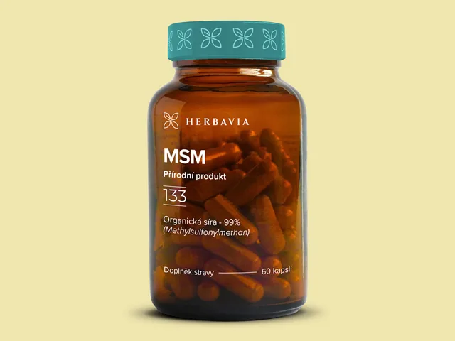 MSM- přírodní produkt - 60 kapslí