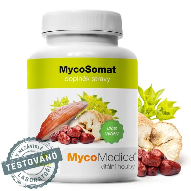 MycoMedica MycoSomat, kombinace extraktů z hub a bylin, 90 rostlinných kapslí