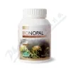 Nástroje Zdraví Nopal BIO cps.120