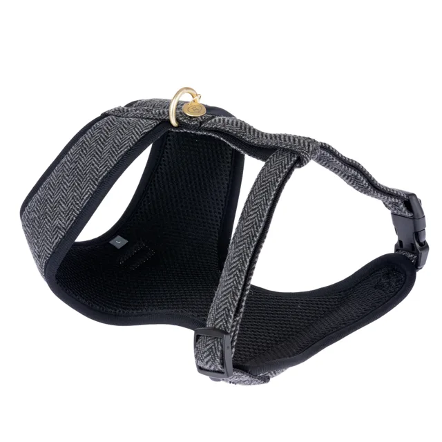 Nomad Tales Calma postroj ebony - velikost XXS: obvod hrudníku 20 - 30 cm