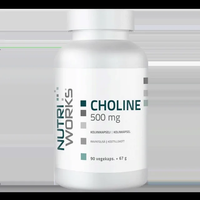 NutriWorks Choline 500mg - 90 kapslí