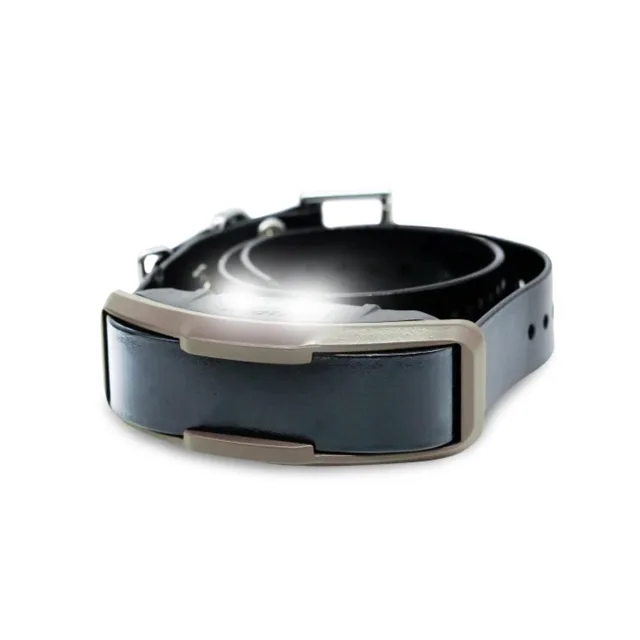 Obojek a přijímač Dogtra 1200X | P59057