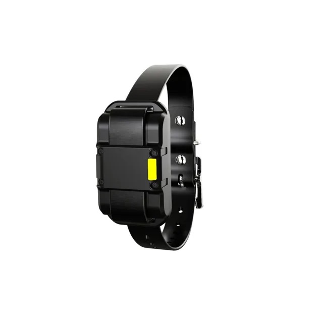 Obojek a přijímač Patpet 625 | P58863