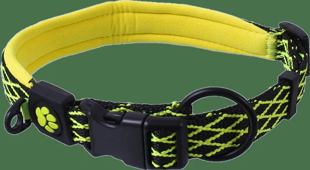 Obojek Active Dog Mystic M limetka 2x44-55cm