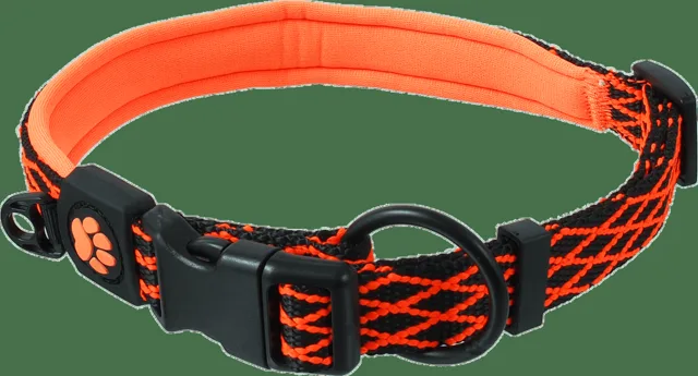 Obojek Active Dog Mystic XL oranžový 2,5x63-70cm