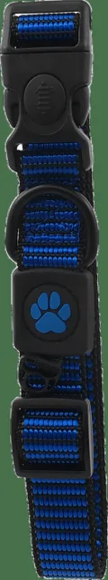 Obojek Active Dog Strong L modrý 2,5x45-68cm