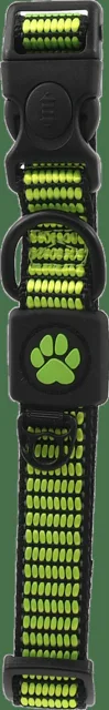 Obojek Active Dog Strong M limetka 2x34-49cm