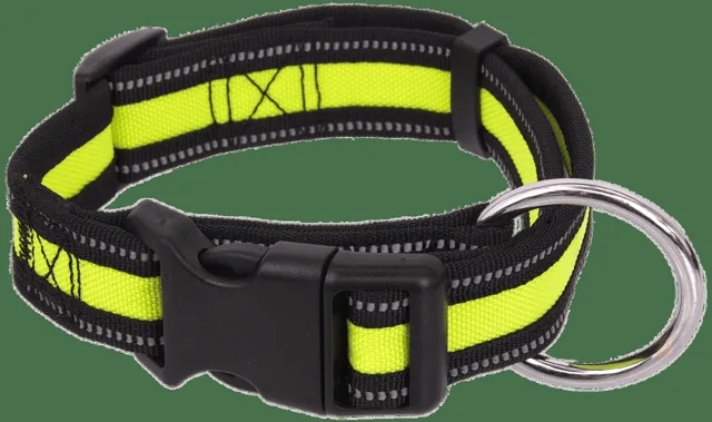 Obojek Dog Fantasy Neoprene S limetka 2x27-37cm