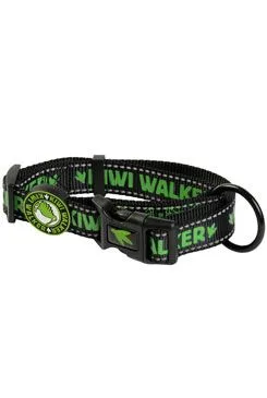 Obojek nylon 42-55cm/2,5cm zelená Kiwi