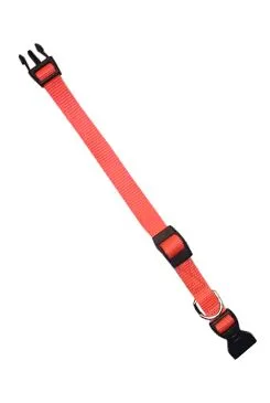 Obojek nylon Club C 44cmx15mm oranžový Fp