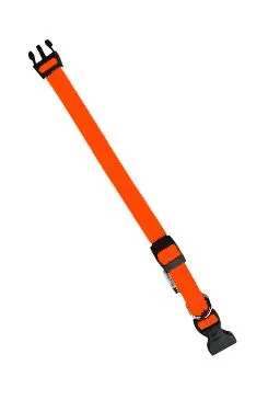 Obojek nylon Club C 56cmx20mm oranžový Fp