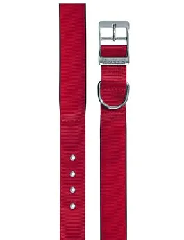 Obojek nylon Daytona C 45cmx25mm červený