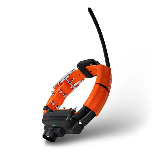 Obojek pro dalšího psa DOG GPS X25TB - orange | P54318