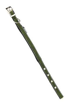 Obojek reflexní Daytona Deluxe 15/35 zelený  Fp