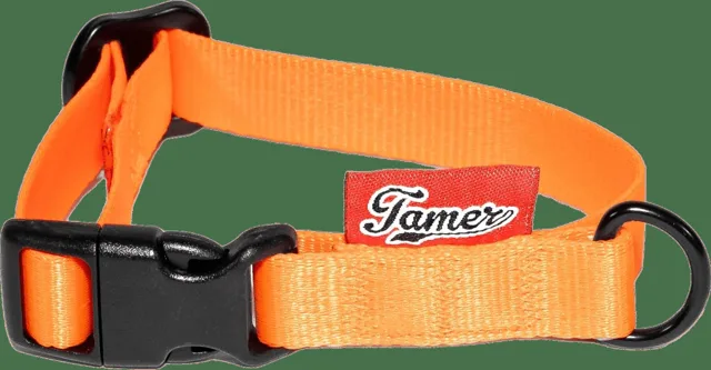 Obojek Tamer Simple 1,5 cm 18-27 cm oranžový