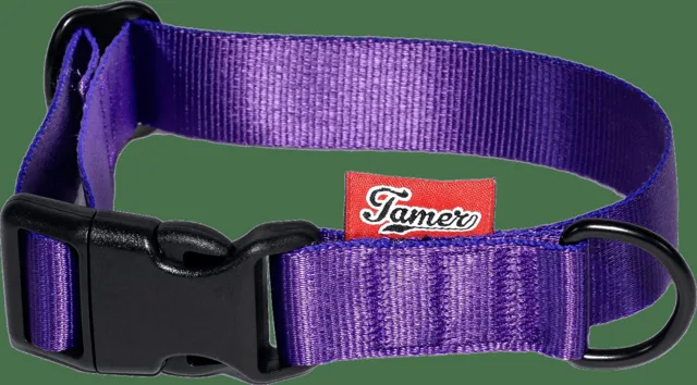 Obojek Tamer Simple 2,5 cm 28-43 cm fialový