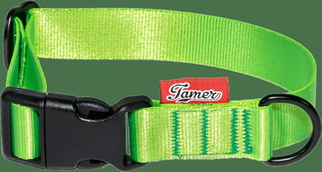 Obojek Tamer Simple 2,5 cm 28-43 cm zelený